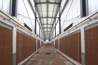 Solución de estructura metálica prefabricada para edificios de acero agrícola