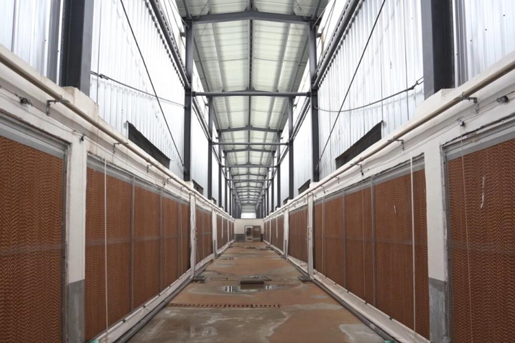 Solución de estructura metálica prefabricada para edificios de acero agrícola