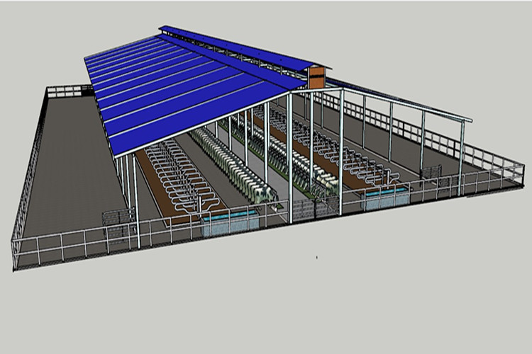 Edificio de acero agrícola para solución de granja lechera